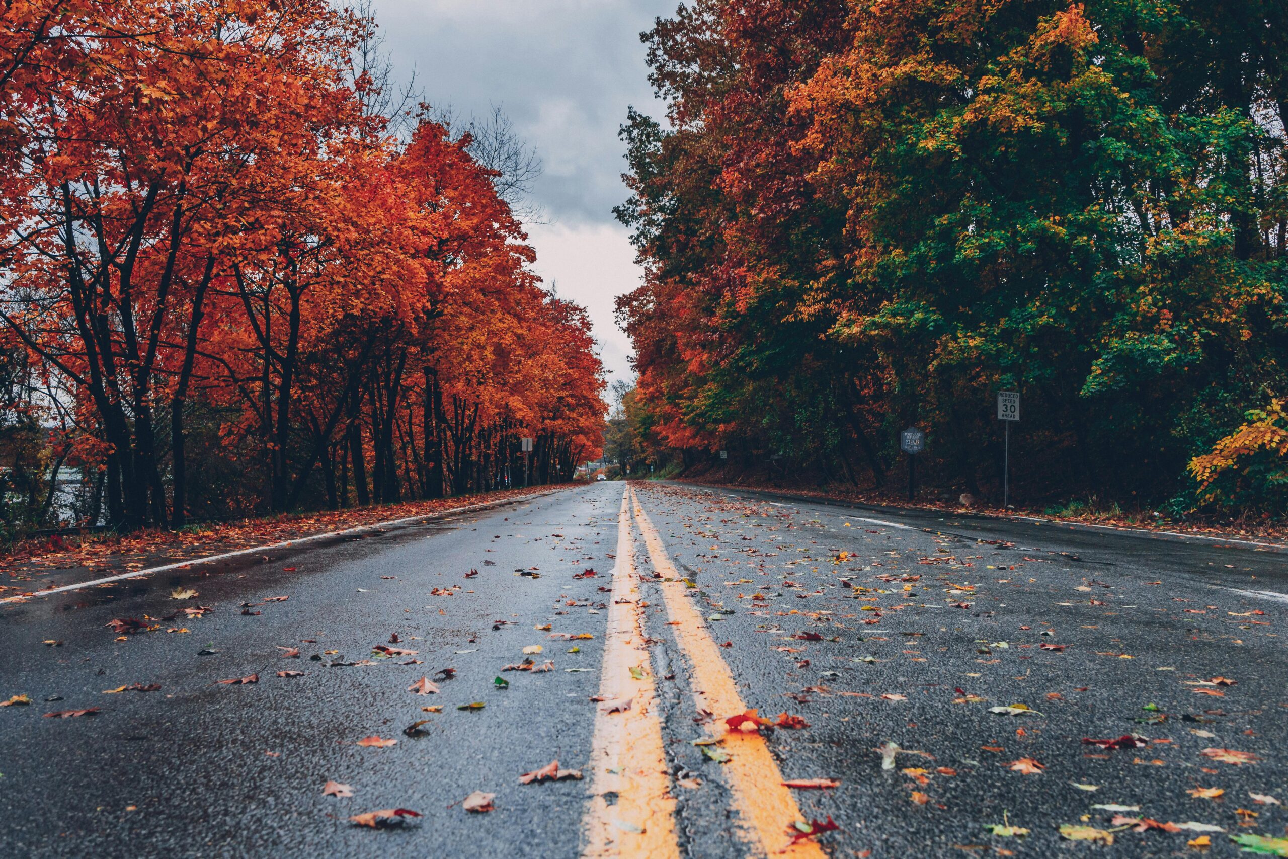 Empty street with fall foliage